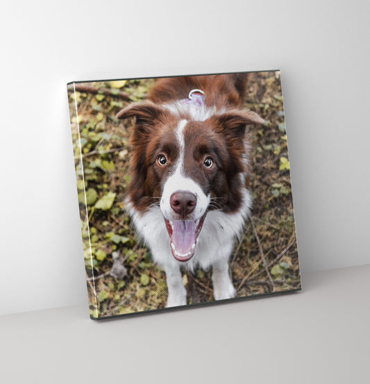 18inch square photo Canvas