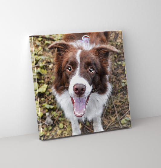 10 inch square photo Canvas